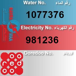 The Location الموقع