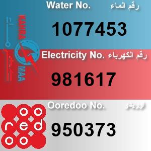 The Location الموقع