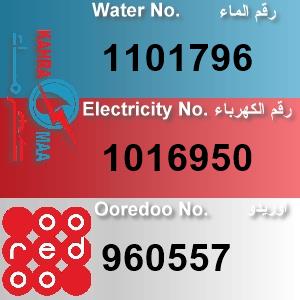 The Location الموقع