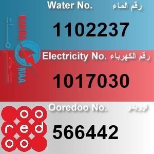 The Location الموقع