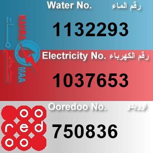 The Location الموقع