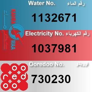 The Location الموقع