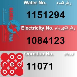 The Location الموقع