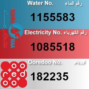 The Location الموقع