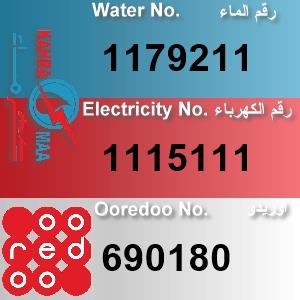 The Location الموقع