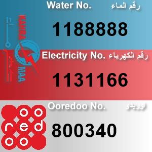 The Location الموقع