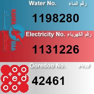 The Location الموقع