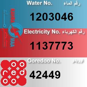 The Location الموقع