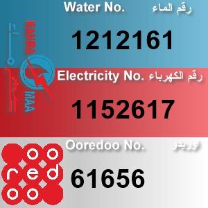 The Location الموقع