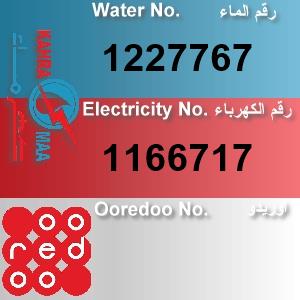 The Location الموقع