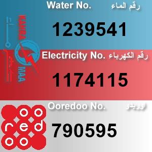 The Location الموقع