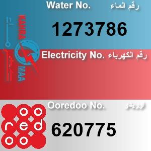 The Location الموقع