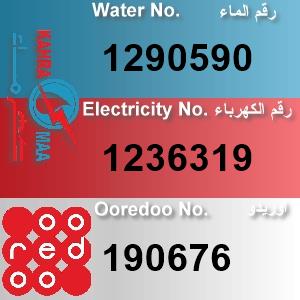 The Location الموقع