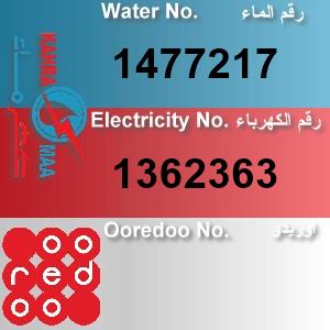 The Location الموقع