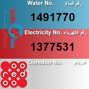 The Location الموقع