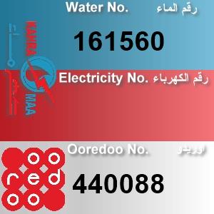 The Location الموقع