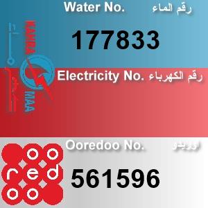 The Location الموقع