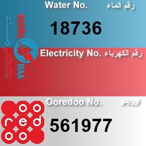 The Location الموقع