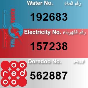 The Location الموقع