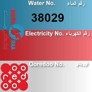 The Location الموقع