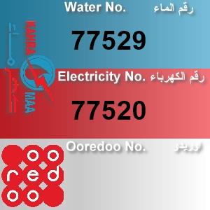 The Location الموقع