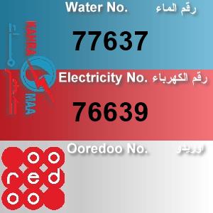 The Location الموقع