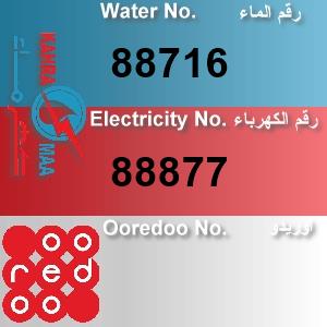 The Location الموقع