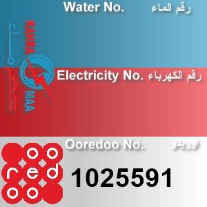 The Location الموقع