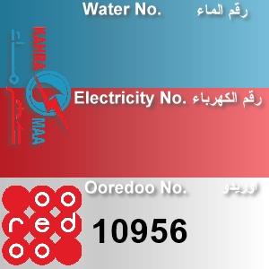 The Location الموقع