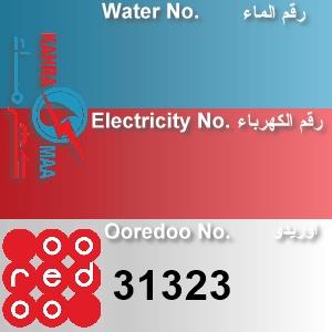 The Location الموقع