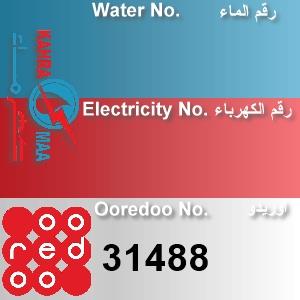 The Location الموقع