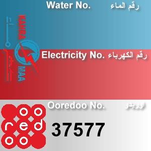 The Location الموقع
