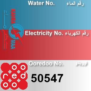 The Location الموقع