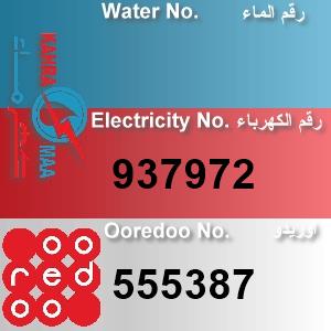 The Location الموقع