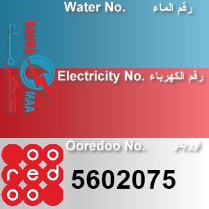 The Location الموقع