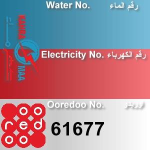 The Location الموقع