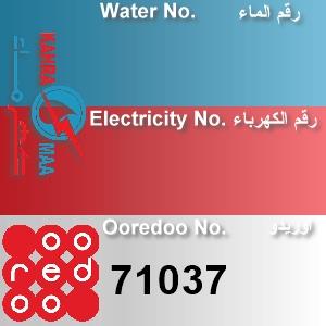 The Location الموقع