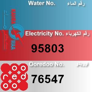 The Location الموقع