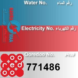 The Location الموقع