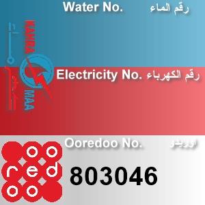 The Location الموقع